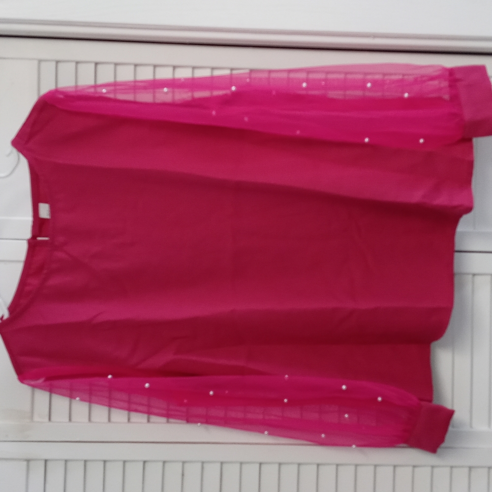 💓Pink Pearl Sheer Mesh Long Sleeve💓
